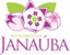 Artesanato de Janaúba - Reciclarte